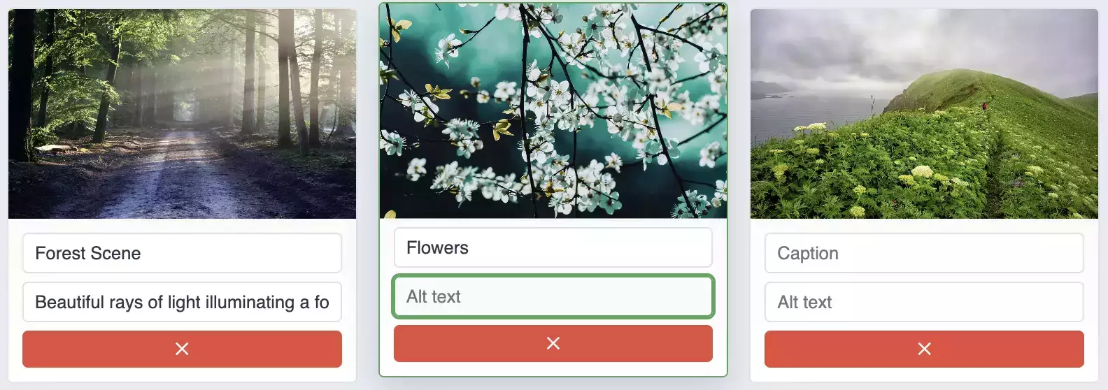 gallery_captions.webp