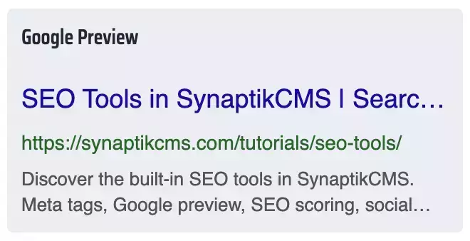 seo_google_preview.webp