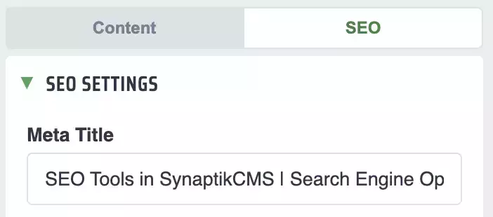 seo_options_tab.webp